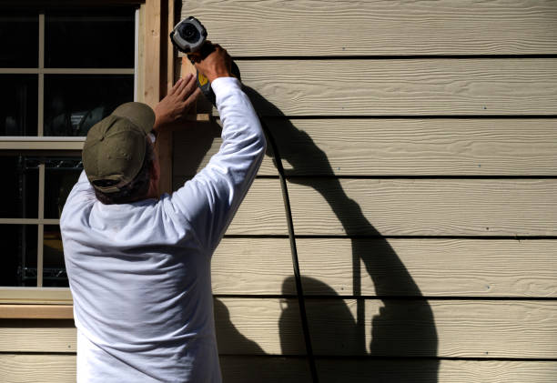 Best Vinyl Siding Installation  in Forest View, IL